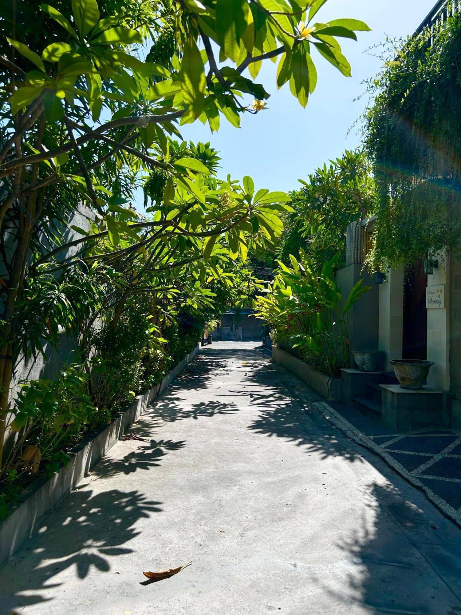 Homestay Bliss Seminyak (Bali)